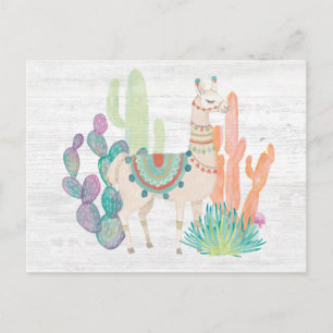 Llamas II Vykort
