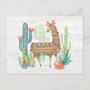 Llamas III Vykort