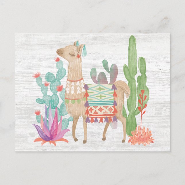 Llamas IV Vykort (Framsida)