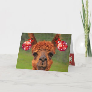 Llamas Kärlek jul Helgkort
