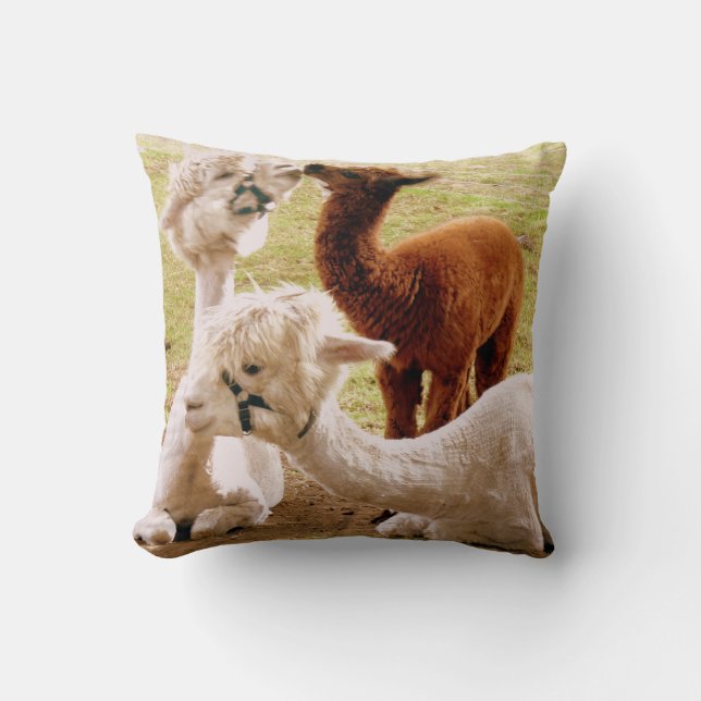 Llamas med Baby Cria Cushion Kudde (Framsida)