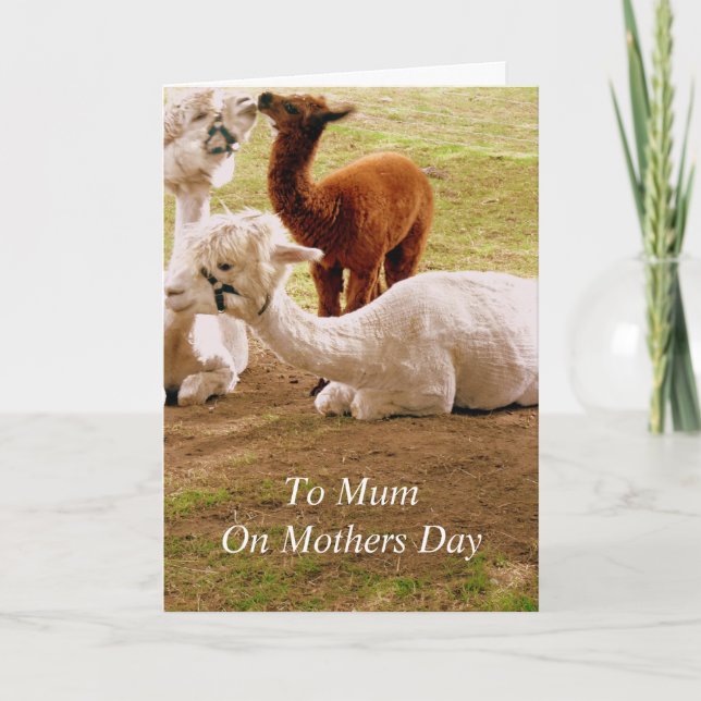 Llamas med den babyCria mors dag Kort (Framsida)