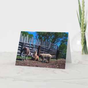 Llamas och lamm tack kort