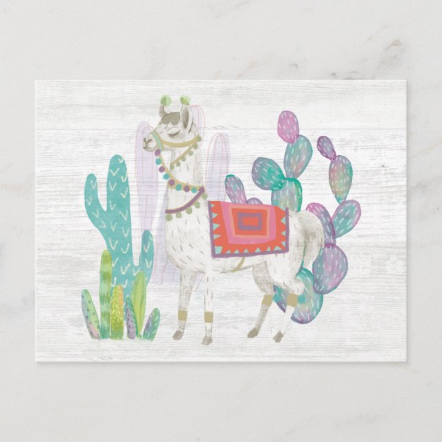 Llamas V Vykort (Framsida)