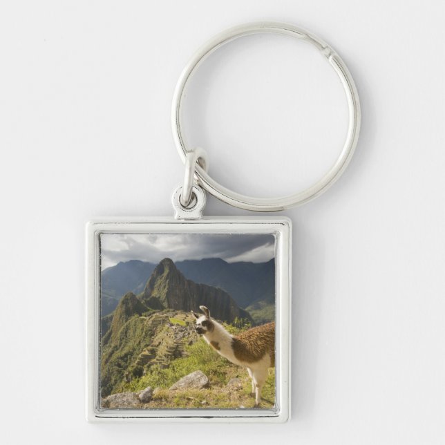 Llamor och utsikt över Machu Picchu, Fyrkantig Silverfärgad Nyckelring (Framsidan)