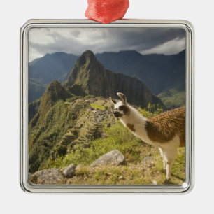 Llamor och utsikt över Machu Picchu, Julgransprydnad Metall