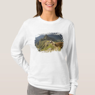 Llamor och utsikt över Machu Picchu, T-shirt