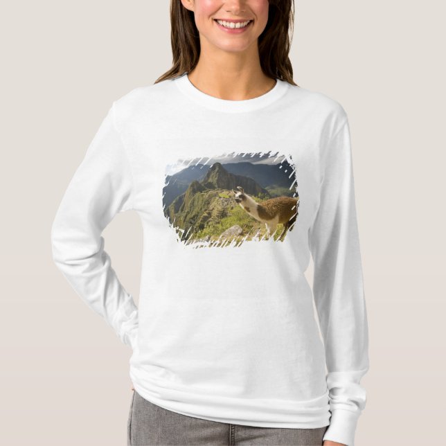 Llamor och utsikt över Machu Picchu, T-shirt (Framsida)