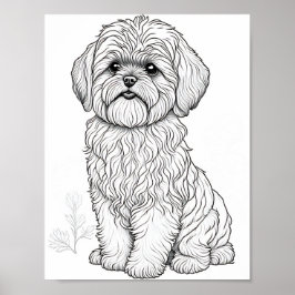 Llasa Apso Vuxen Coloring Poster