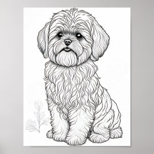Llasa Apso Vuxen Coloring Poster