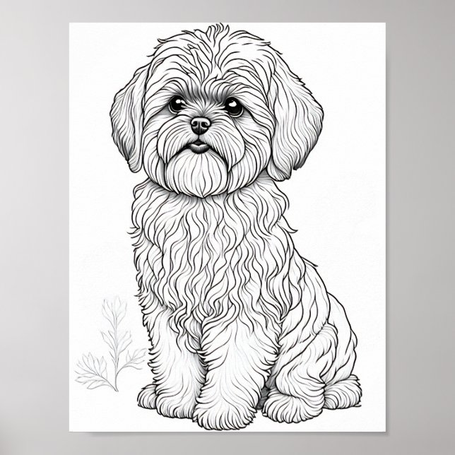 Llasa Apso Vuxen Coloring Poster (Framsidan)