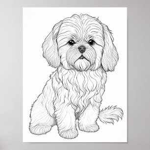 Llasa Apso Vuxen Coloring Poster