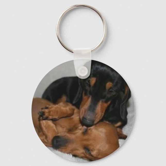 Llavero Botón Básico teckels Nyckelring (Framsida)