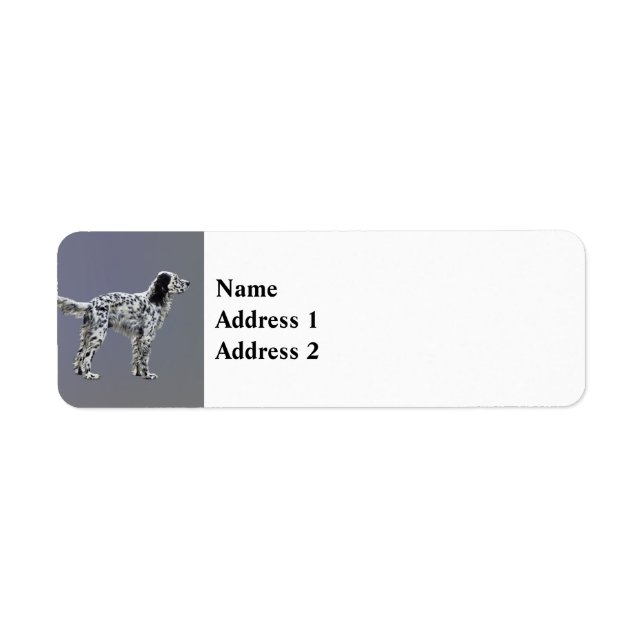 Llewellin Setter Returadress Etikett (Framsidan)