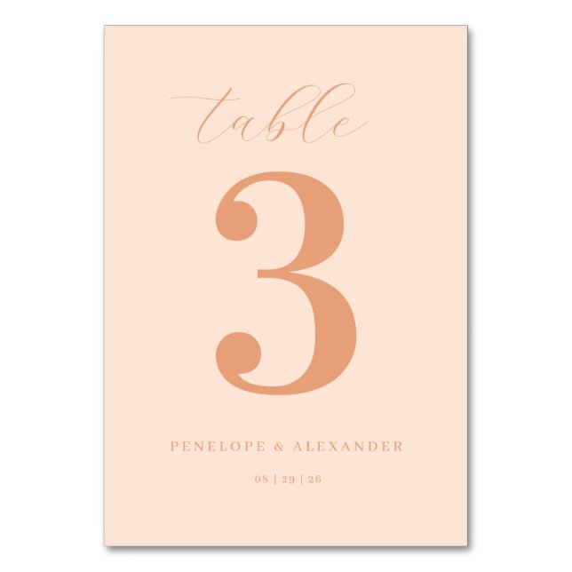 ___LLMGEN___ 13 BORDSNUMMER (Framsidan)