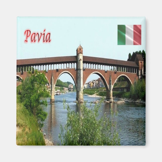 LMD044 PAVIA, Bron, Italien, Fridge Magnet (Framsidan)