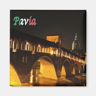 LMD045 PAVIA The Covered Bridge by Night, Fridge Magnet