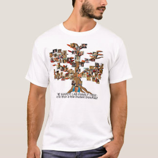 LNGlabbt-skjorta Tee