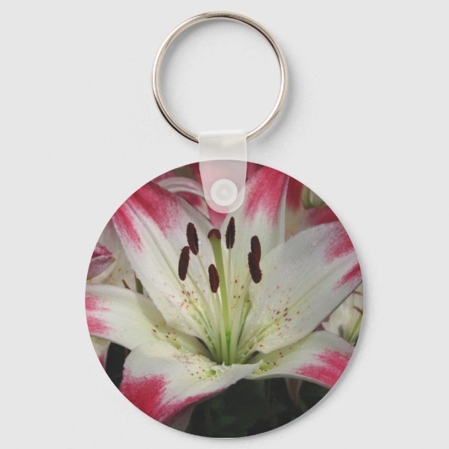 Lö Lily ~-nyckelkedja Nyckelring (Framsida)