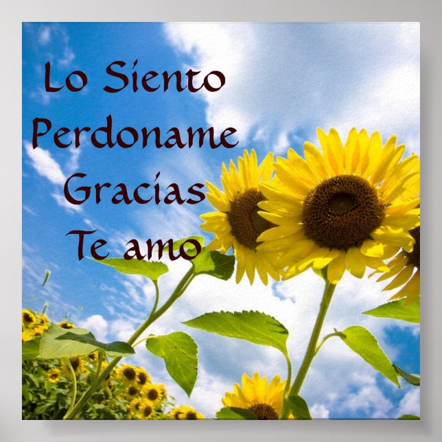 Lo Siento, Perdoname, Gracias, Te Amo Poster (Framsidan)