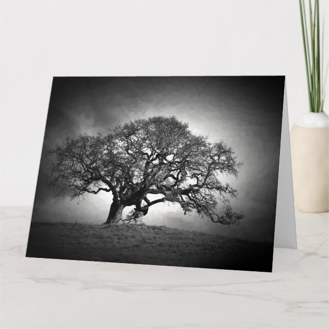 LOAN OAK TRÄD KORT (Framsida)