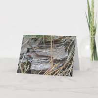 Lob Gräs Bark Note Card
