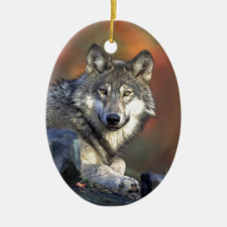 Lobo Gris Julgransprydnad Keramik