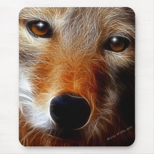 Lobo Musmatta (Framsidan)