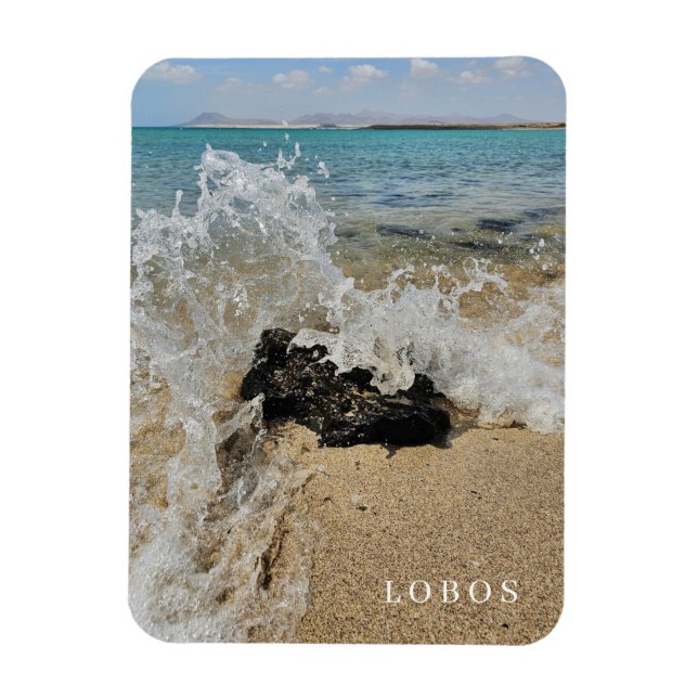 Lobos Island-strandvisare, kylmagnet Magnet (Vertikal)