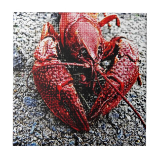 Lobpappa Kakelplatta