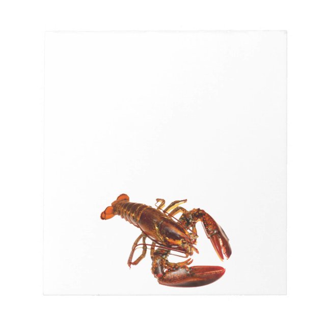Lobster Anteckningsblock (Framsida)