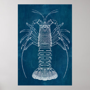 Lobster Blueprint Poster