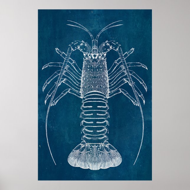 Lobster Blueprint Poster (Framsidan)