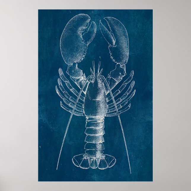 Lobster Blueprint Poster (Framsidan)