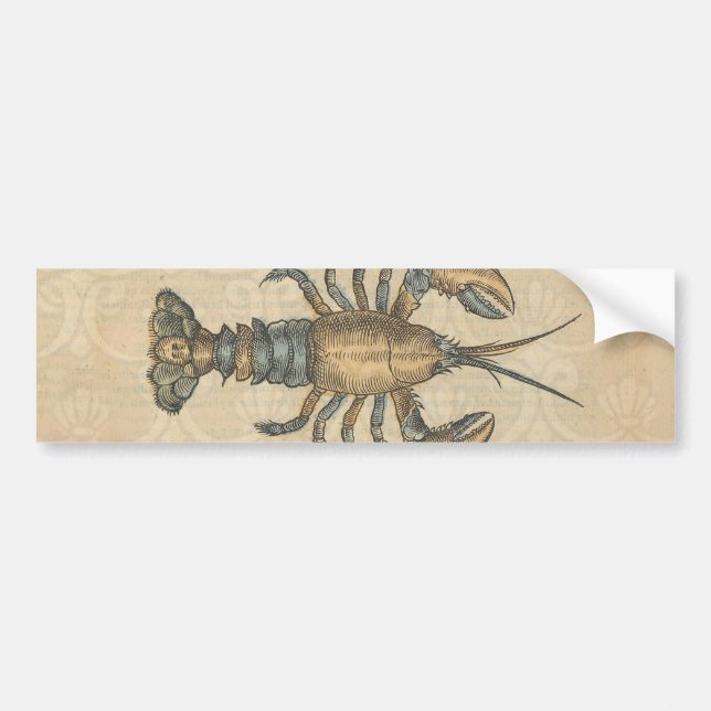 Lobster Illustration Antique Maine Seafood Bildekal (Framsidan)