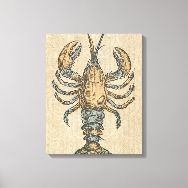 Lobster Illustration Antique Maine Seafood Canvastryck (Framsida)