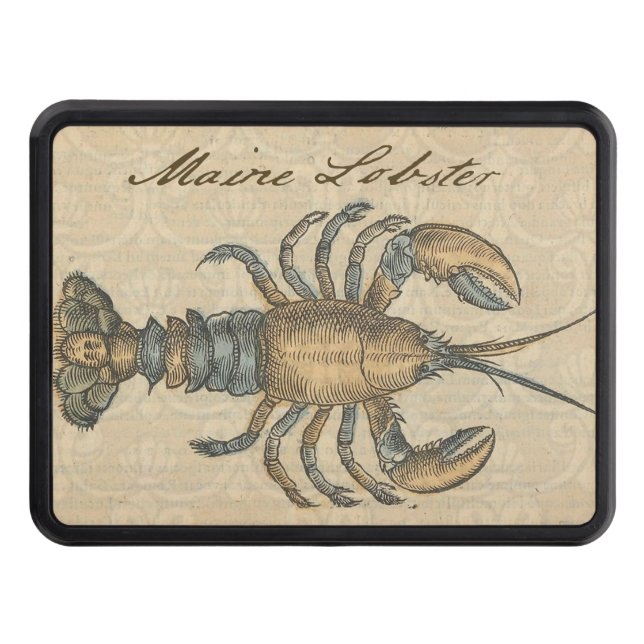 Lobster Illustration Antique Maine Seafood Dragkroksskydd (Framsidan)