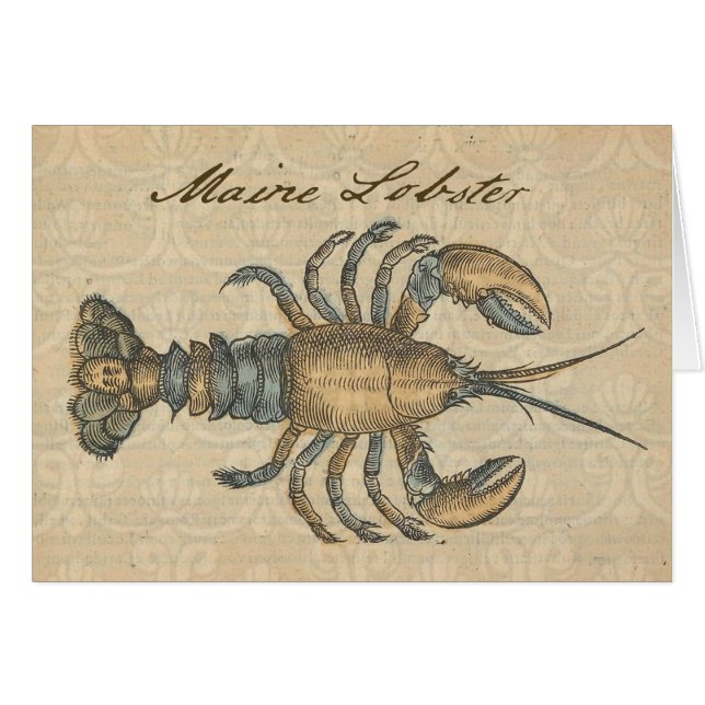 Lobster Illustration Antique Maine Seafood Hälsningskort (Framsidan Horizontal)