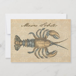 Lobster Illustration Antique Maine Seafood Inbjudningar