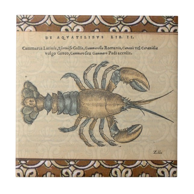 Lobster Illustration Antique Maine Seafood Kakelplatta (Framsidan)