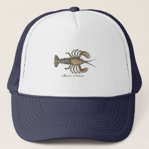 Lobster Illustration Antique Maine Seafood Keps
