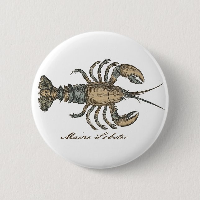 Lobster Illustration Antique Maine Seafood Knapp (Framsida)
