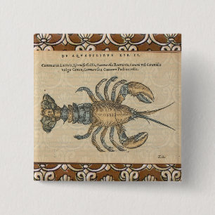 Lobster Illustration Antique Maine Seafood Knapp