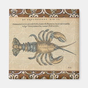 Lobster Illustration Antique Maine Seafood Magnet