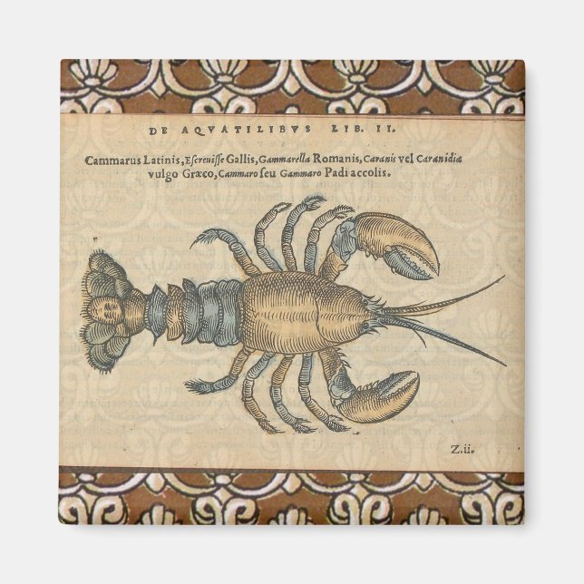 Lobster Illustration Antique Maine Seafood Magnet (Framsidan)