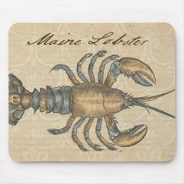 Lobster Illustration Antique Maine Seafood Musmatta (Framsidan)