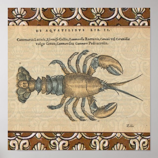 Lobster Illustration Antique Maine Seafood Poster (Framsidan)