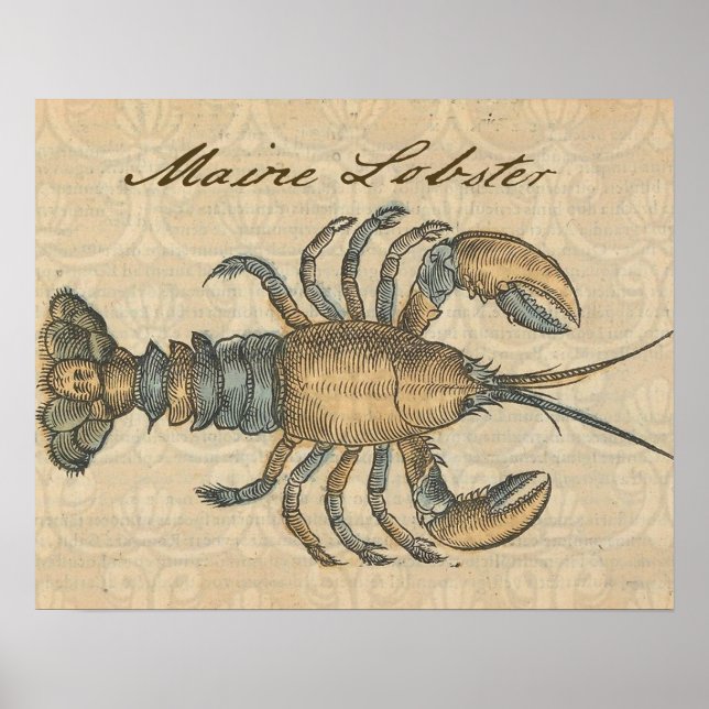 Lobster Illustration Antique Maine Seafood Poster (Framsidan)