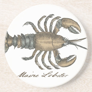 Lobster Illustration Antique Maine Seafood Underlägg Sandsten