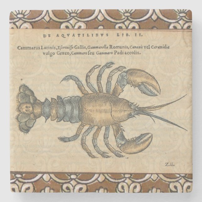 Lobster Illustration Antique Maine Seafood Underlägg Sten (Framsidan)